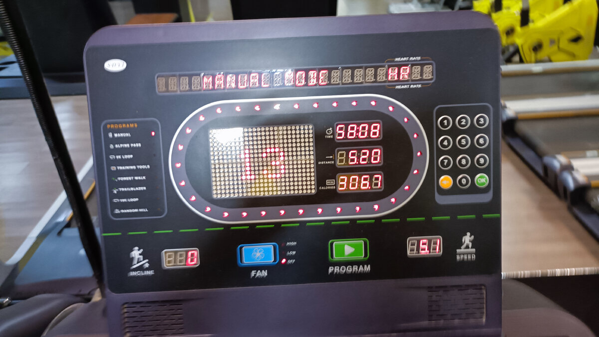 Тренировка: виброплатформа - 10 минут, беговая дорожка - 58 минут, растяжка.