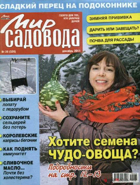 Фото заимствовано в сервисе Яндекс.Картинки