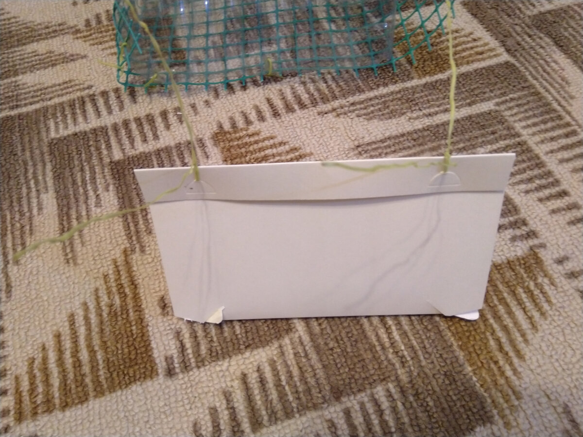 Корпус ловушки сбоку