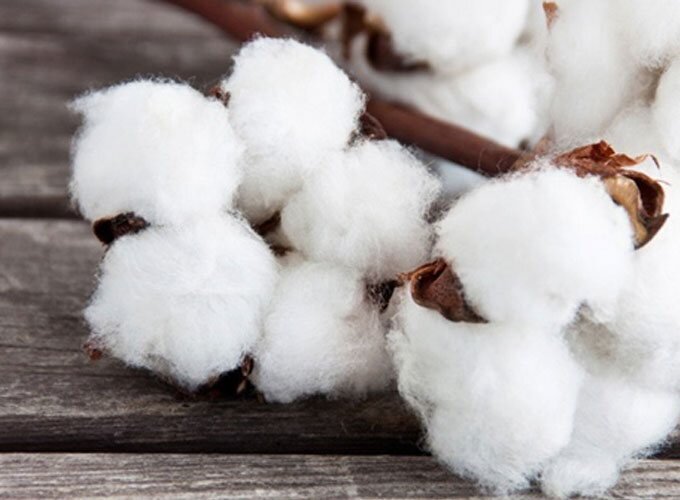 картинка из интернета