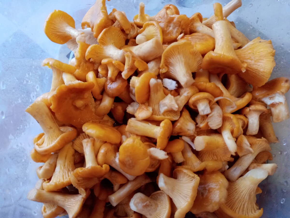 Уже помытые