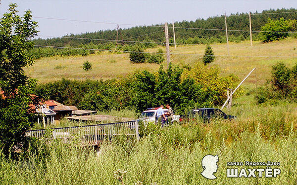 Фото автора. Снимок не имеет прямого отношения к истории, а лишь косвенно иллюстрирует публикацию.