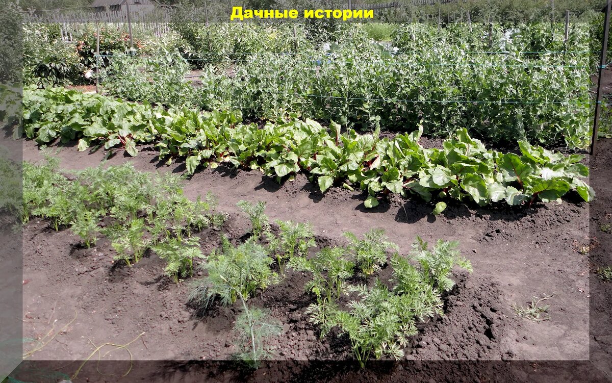 https://vk.com/photo-159774511_457255500