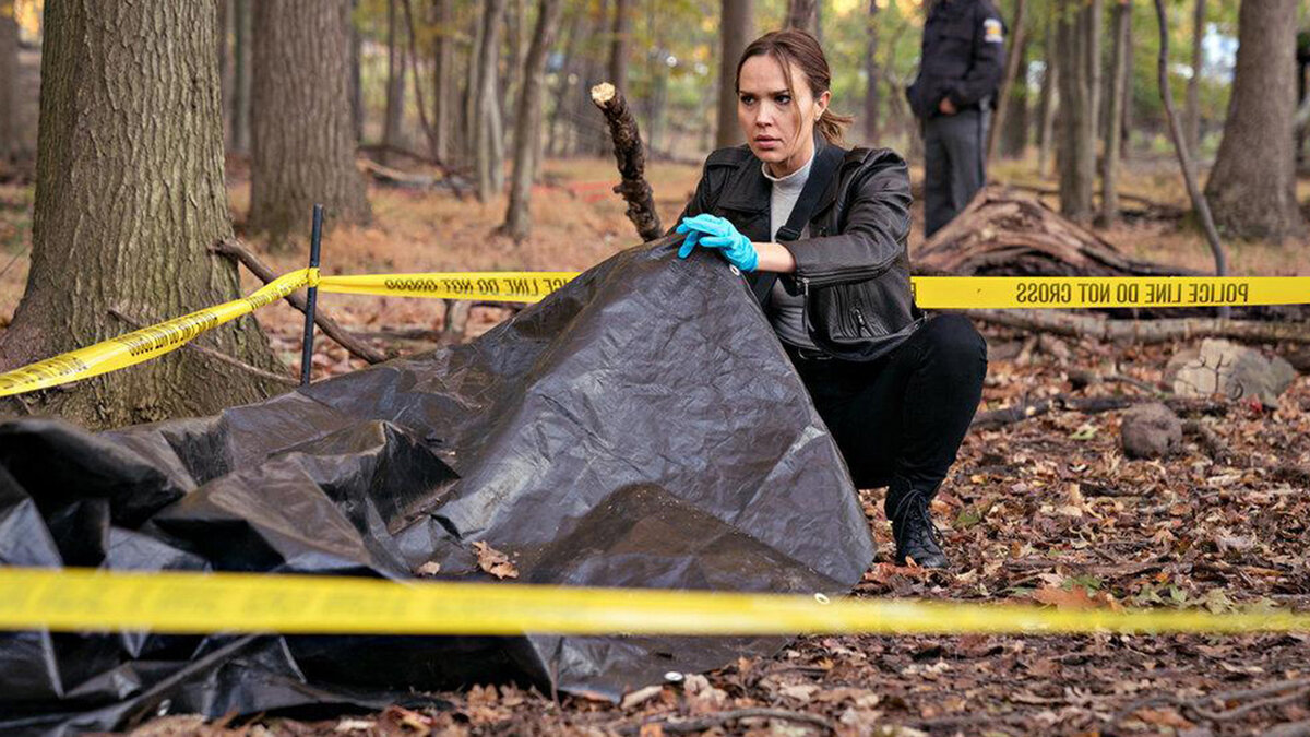 Неплохой сериальный ремейк фильма "Власть страха" с Анджелиной Джоли и Дензелом Вашингтоном.