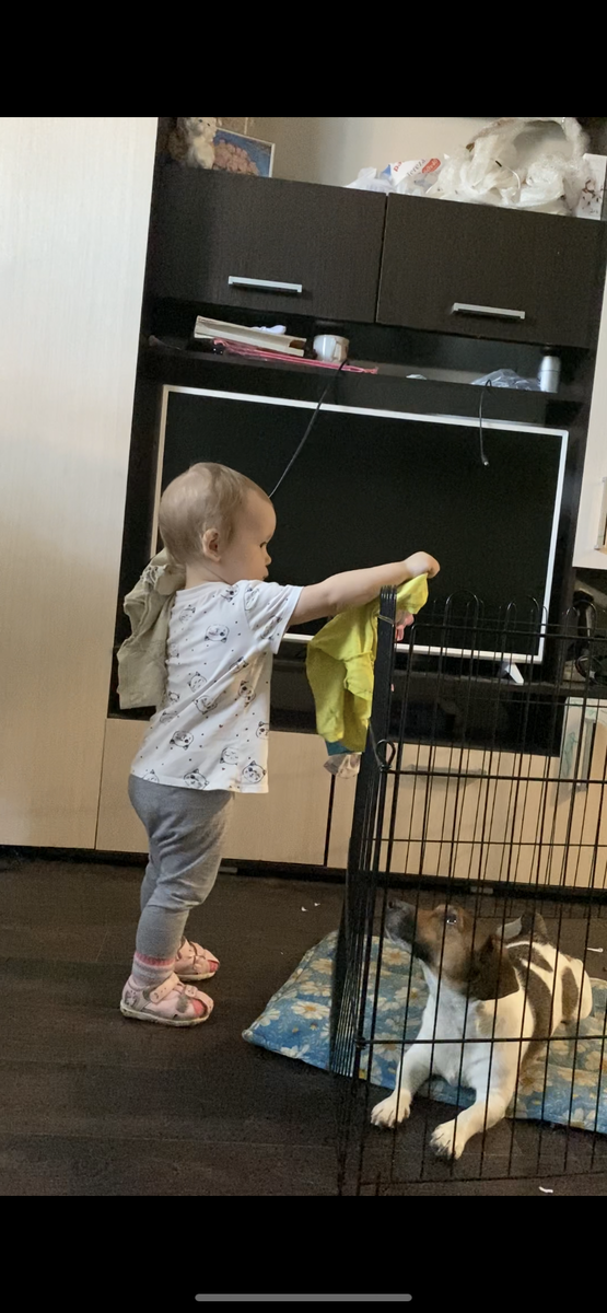 Фото автора Стирка в удовольствие