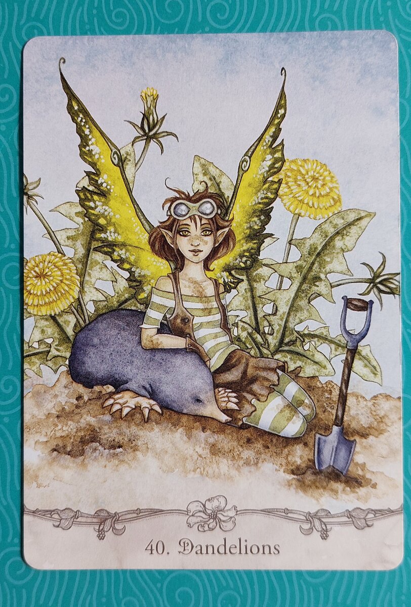 Колода: "Fairy Wisdom Oracle" by Nancy & Amy Brown