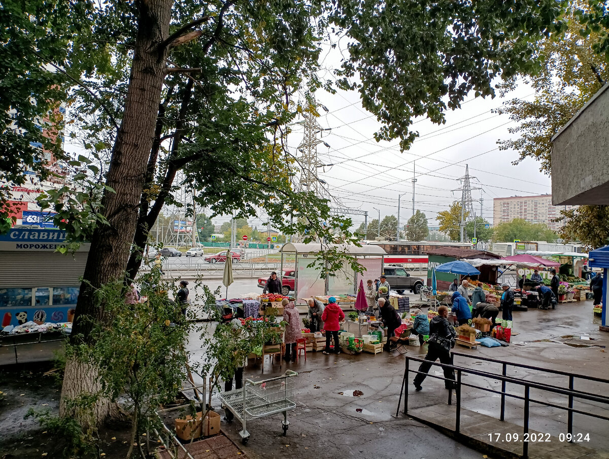 Рынок на перекрестке улиц Ново-Вокзальная и Московское шоссе.
