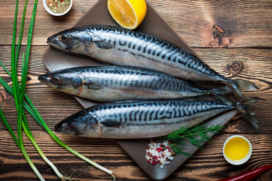 Как выглядит рыба скумбрия