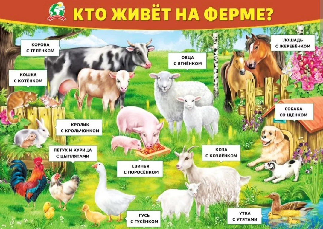 Источник фото: яндекс картинки