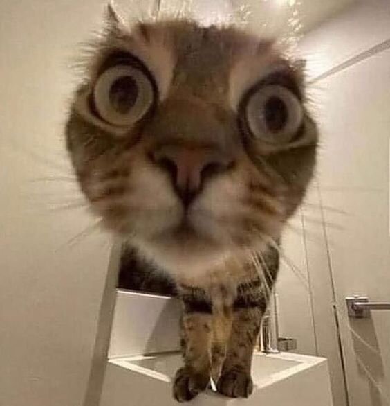 Шо, опять?!..