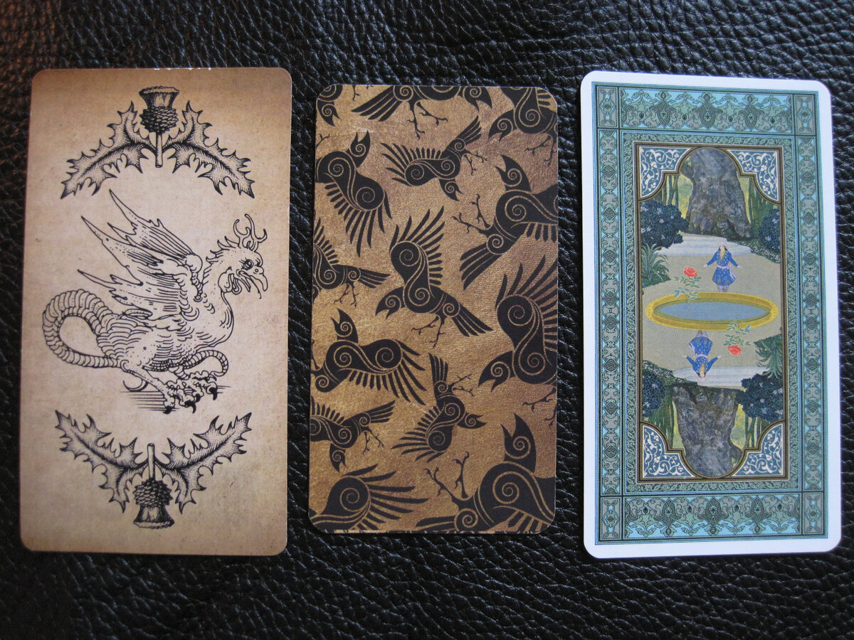 Фото Автора канала_ 3 ВАРИАНТА