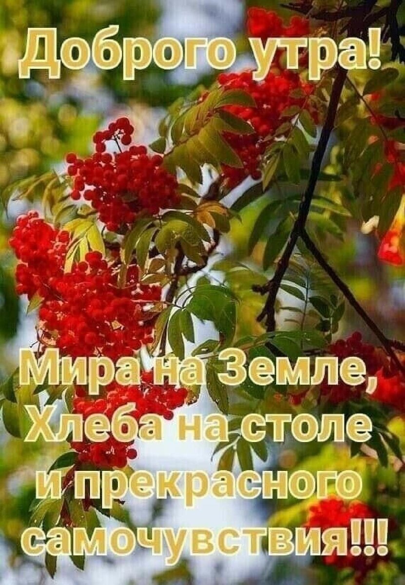 Просто красивое фото!