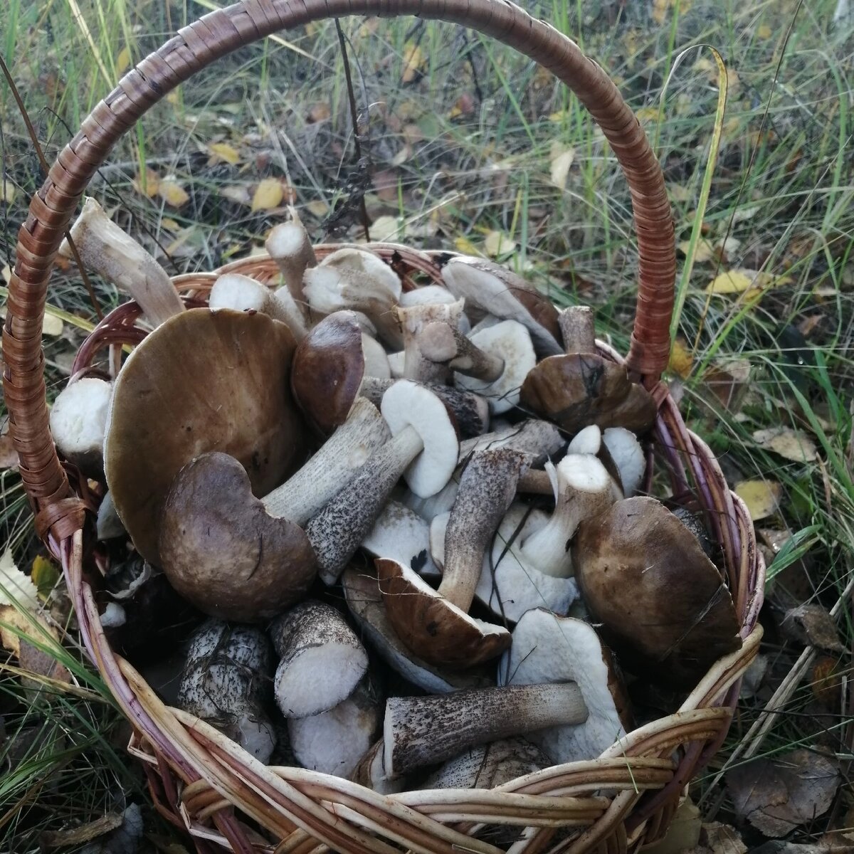 Фото Мария Мария 