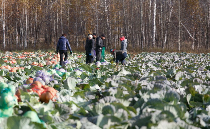 © Фото VN.ru.📷
