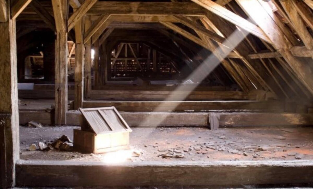 Фотография из открытых  источников.