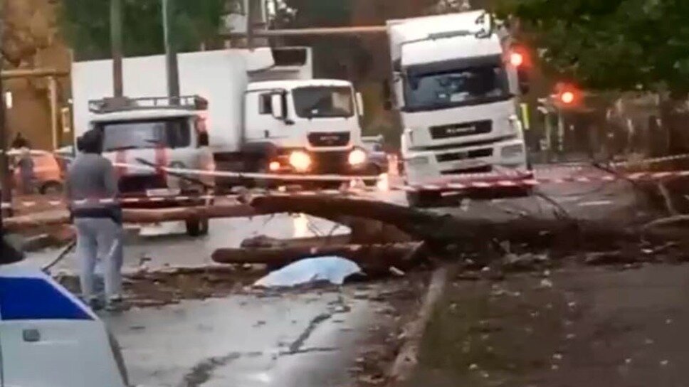     Трагедия произошла в городе Гуково. На женщину упало огромное дерево, об этом RostovGazeta сообщили местные жители.