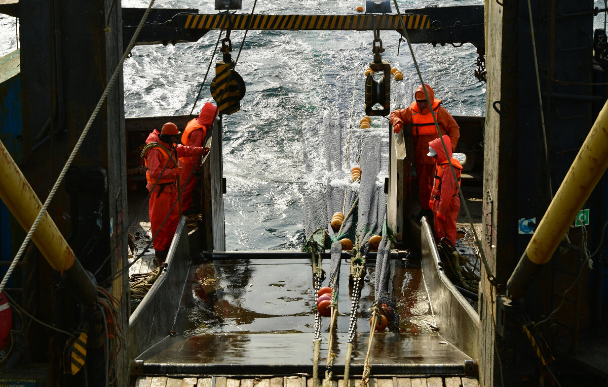 Юрий Смитюк/ТАСС, архив