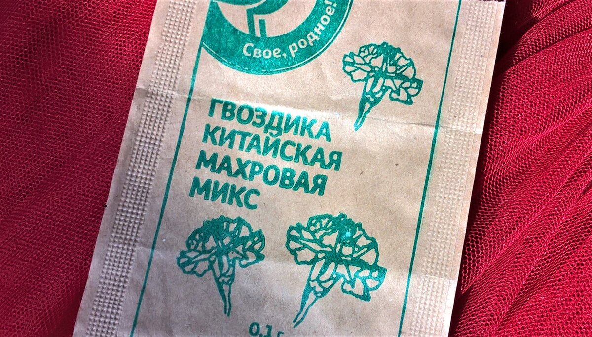 Семена гвоздики китайской