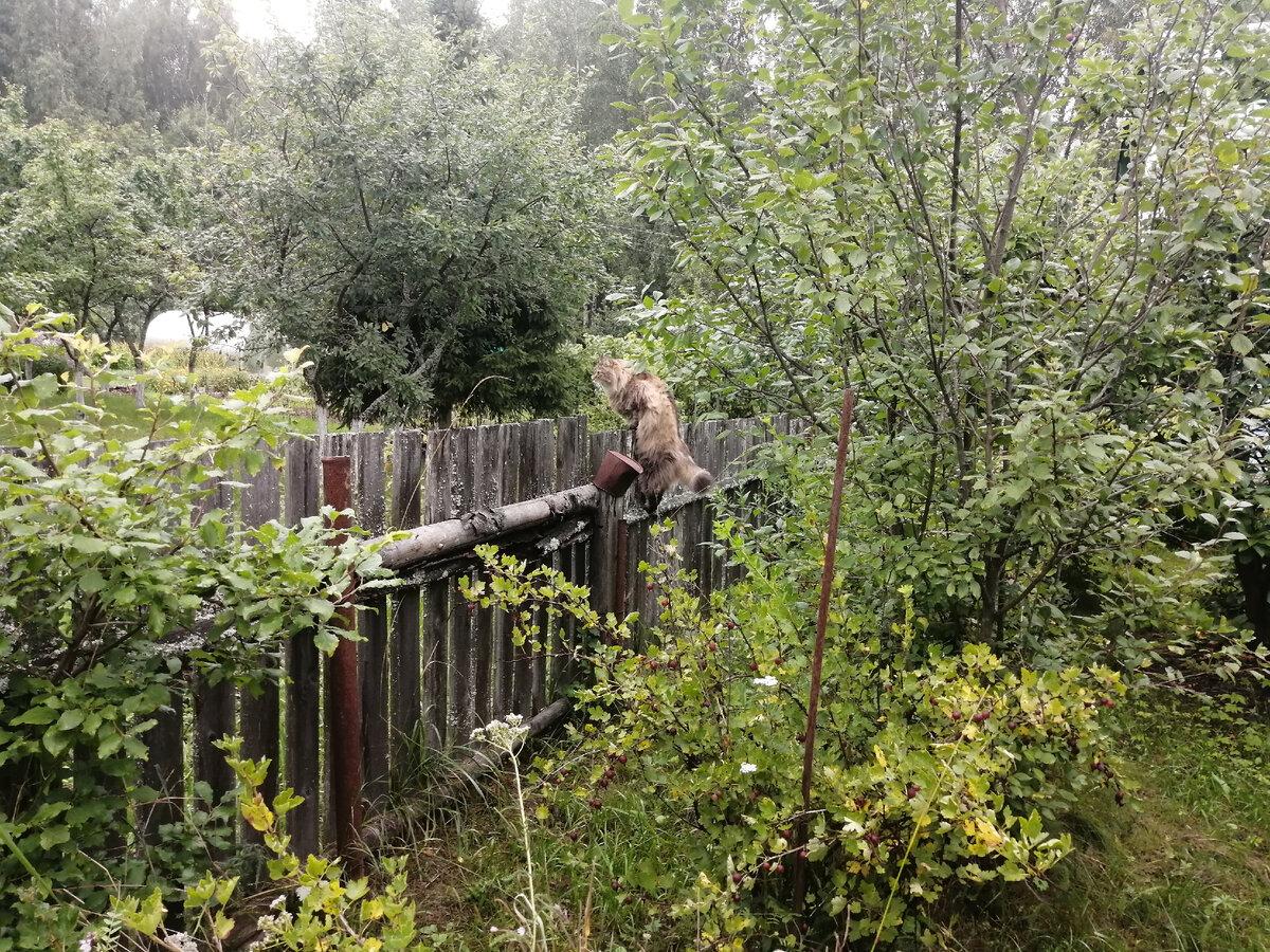 Ну-ка, ну-ка. Что там происходит без меня