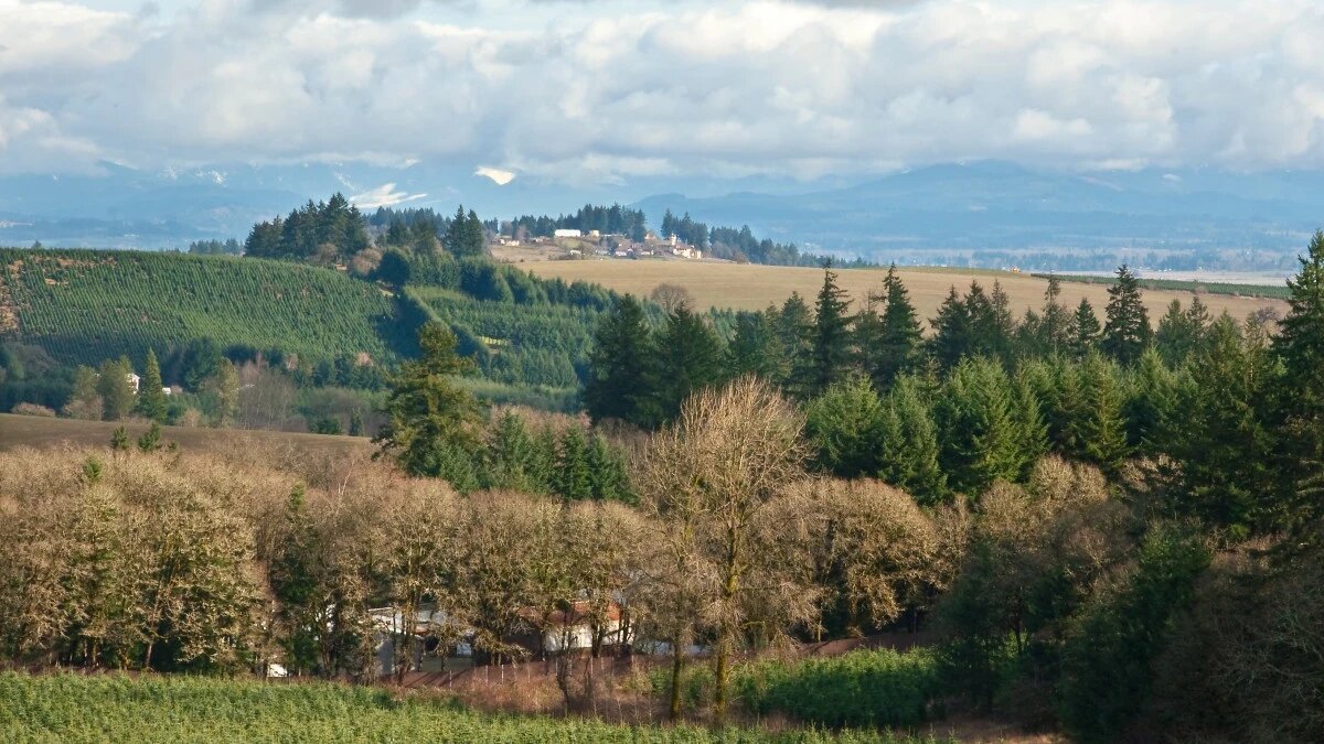 Фото: pxhere.com