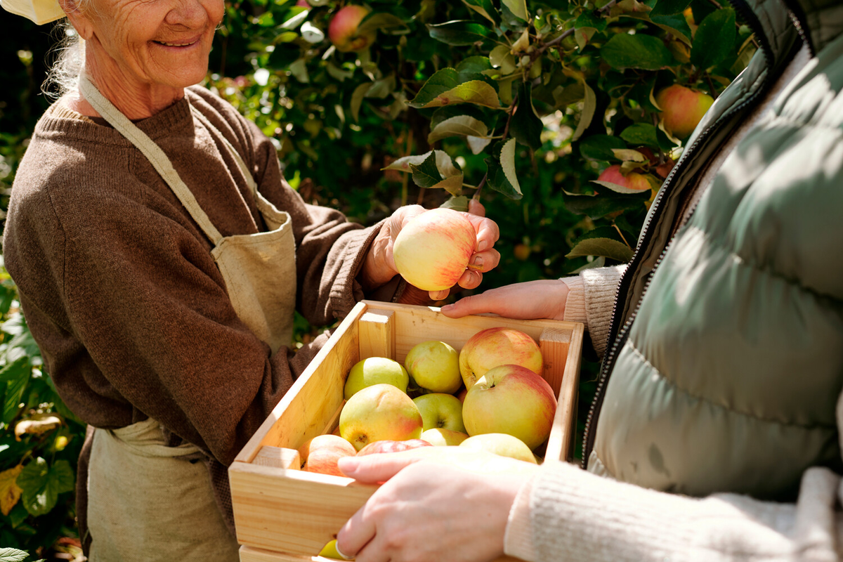 Фото: Shutterstock