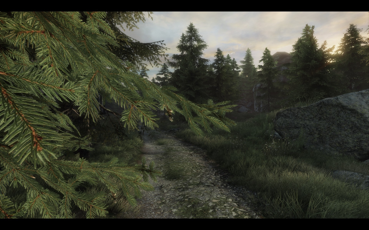 ? 26 сентября 2014 года Поросшие мхом камни. Обрамляющая дорогу пожухшая хвоя. Солнце, просвечивающее через верхушки деревьев. Река, неторопливо текущая в сторону дамбы. Потрескавшийся асфальт.-4