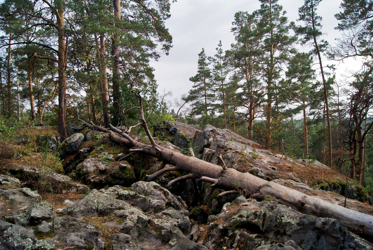 Камень среди