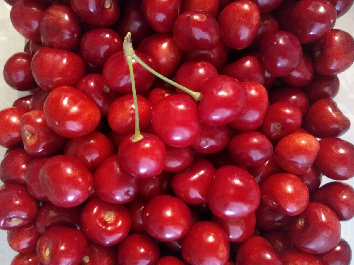 Черешня со своего фруктового сада. Автор фото Волкова Татьяна