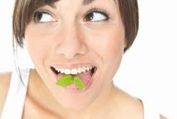 Фото взято из Яндекс.Картинки