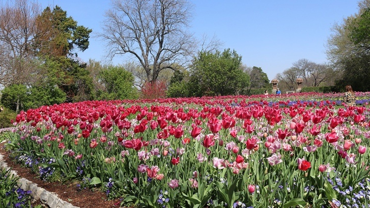 Создать карусель             Добавьте описание