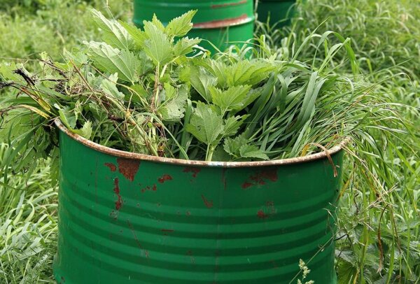 не забывайте и про зеленые удобрения