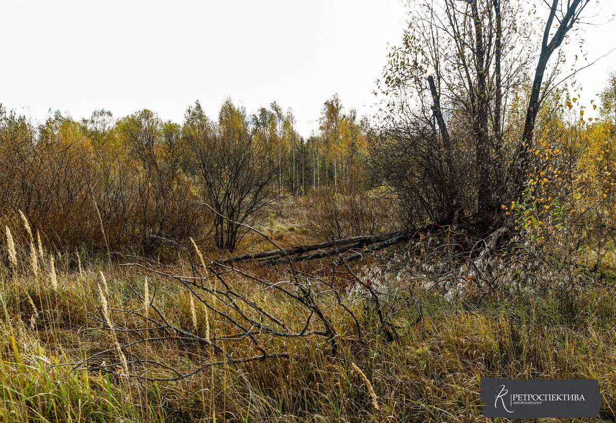 Источник - https://vk.com/retrospektive