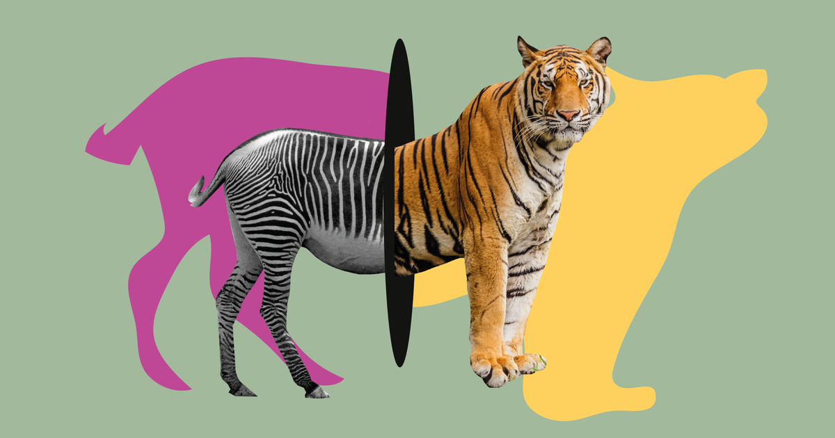 Иллюстрация Светы Овчинниковой