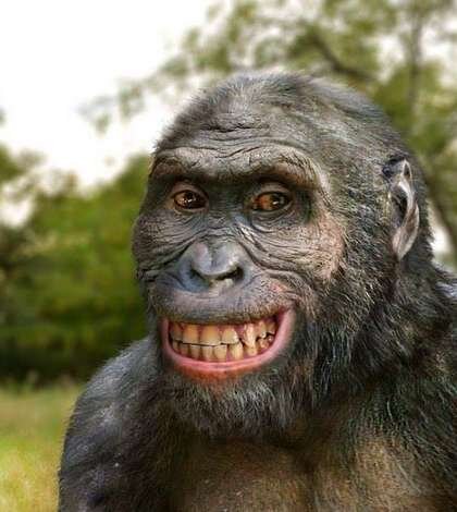 человек, не пользующийся пластиковыми картами