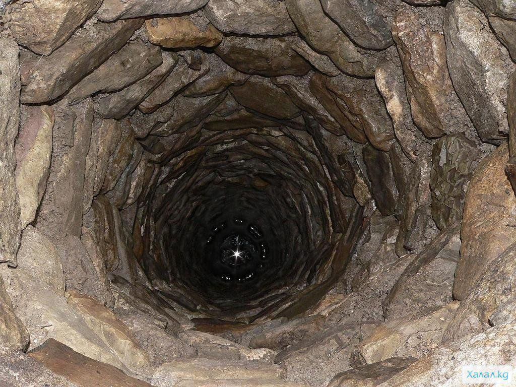 Фото взято из Яндекс Картинки