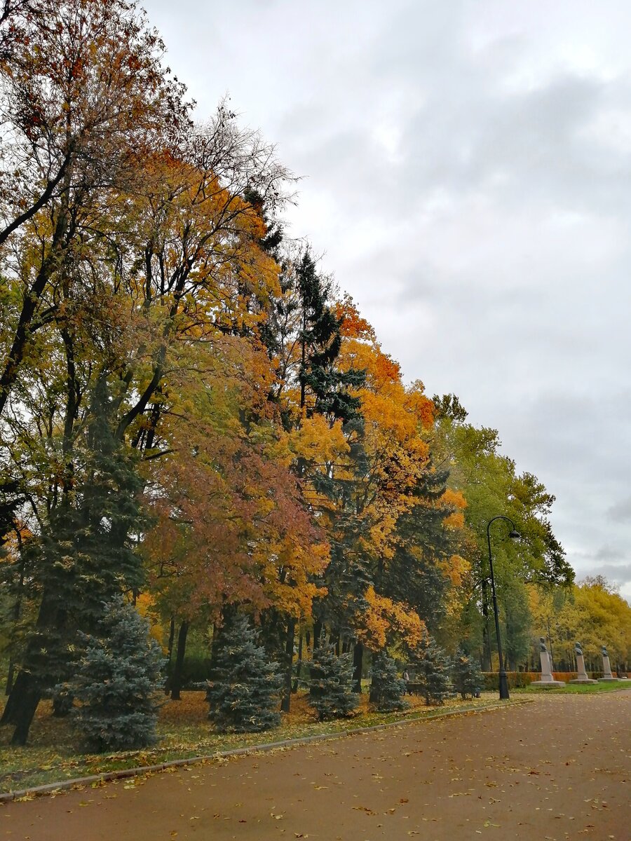 Санкт-Петербург, Парк Победы, октябрь 2019