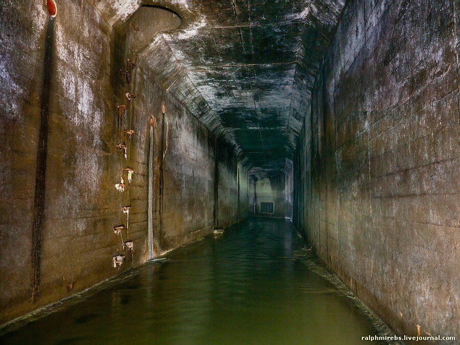 Что можно найти в подземной реке под Токио?