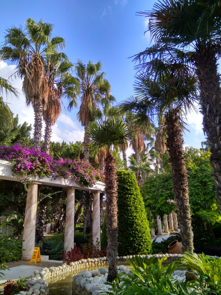 Территория - это просто рай на земле