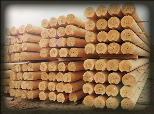 Из-за особенностей условий транспортировки и хранения дерево требует больших забот