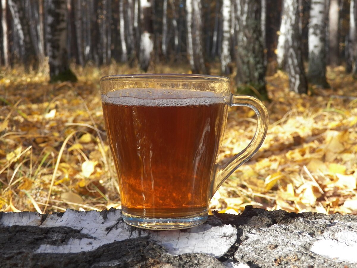  Осенний противопростудный чай. Выведение бактерий простуды через кишечник