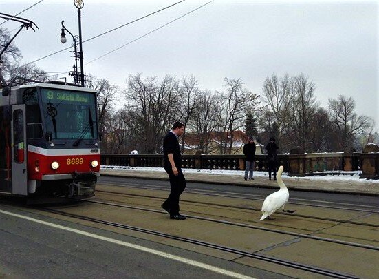 Фото с сайта ежедневника "Метро"