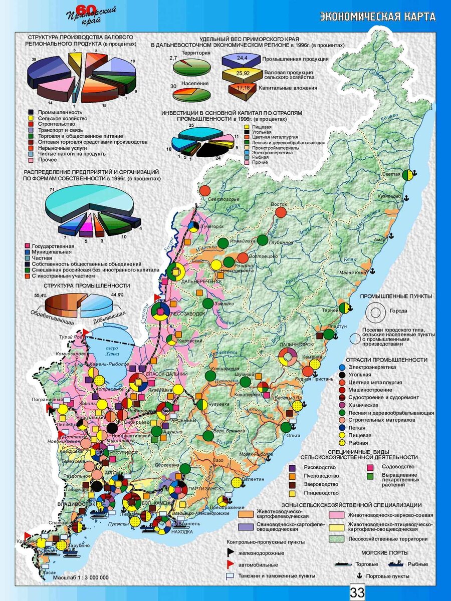 Промышленность в приморском крае. Туристская карта Приморского края. Карта Приморского края экономика. Карта Хабаровского края и Приморского края. Карта полезных ископаемых Приморского края подробная.