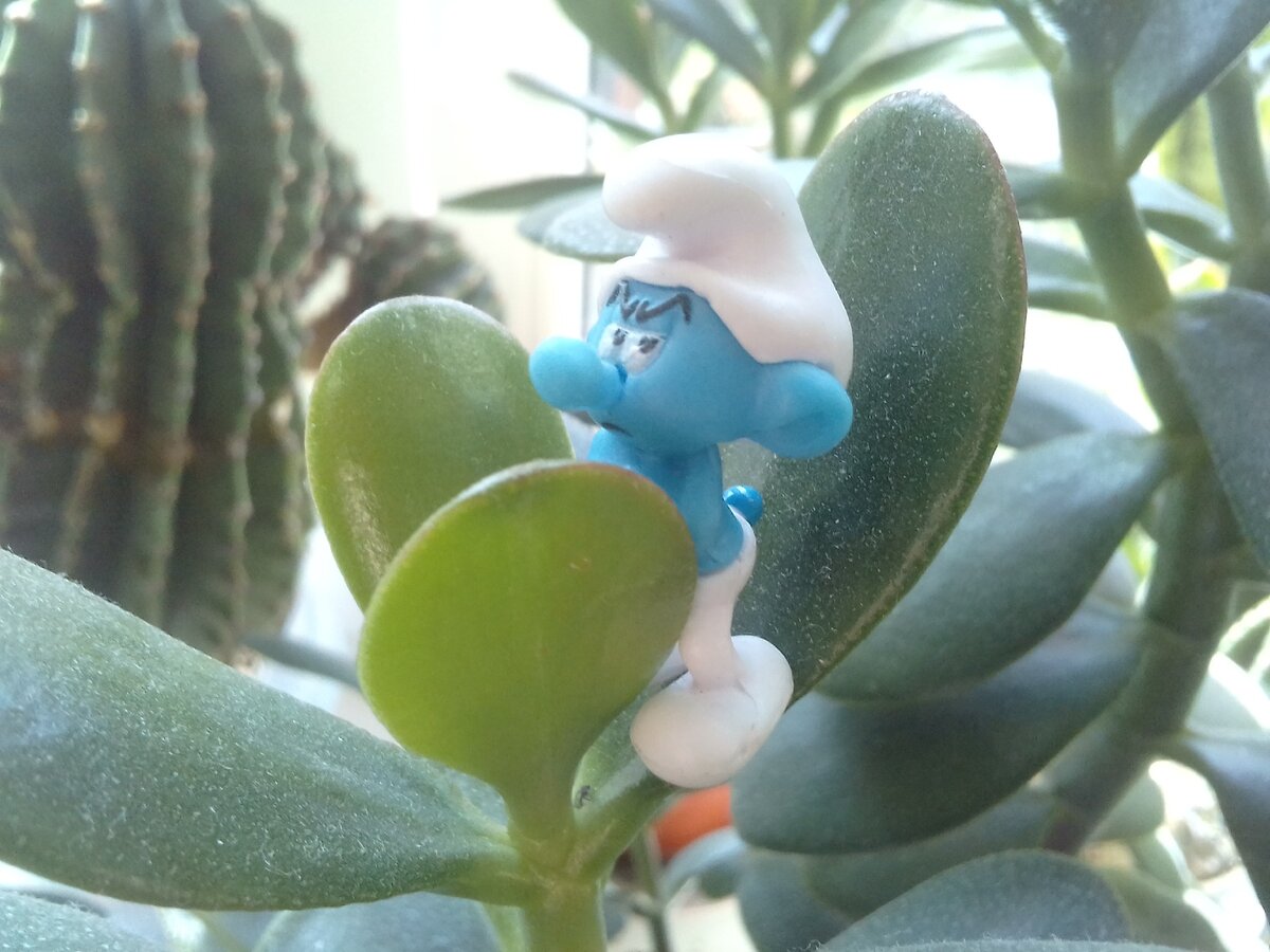 Да вы сами виноваты!