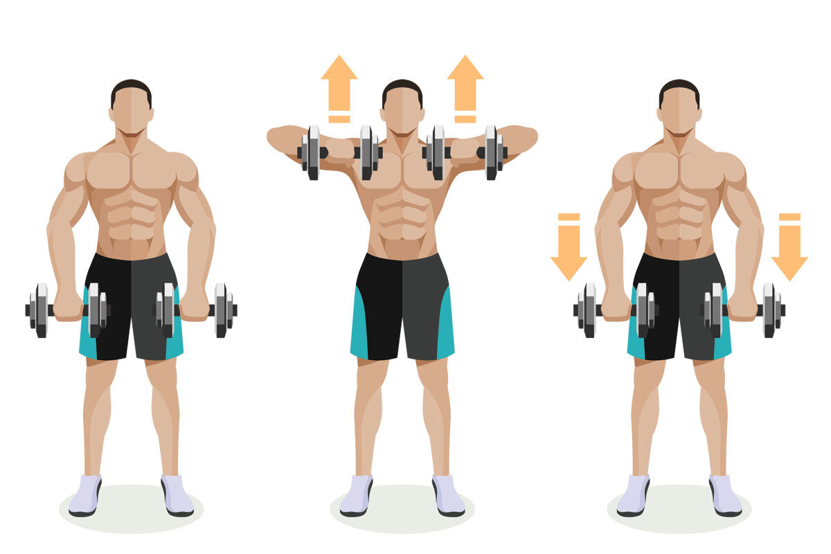 Как правильно качать плечи? Программа лучших упражнений на дельты |  Фитсевен | Дзен