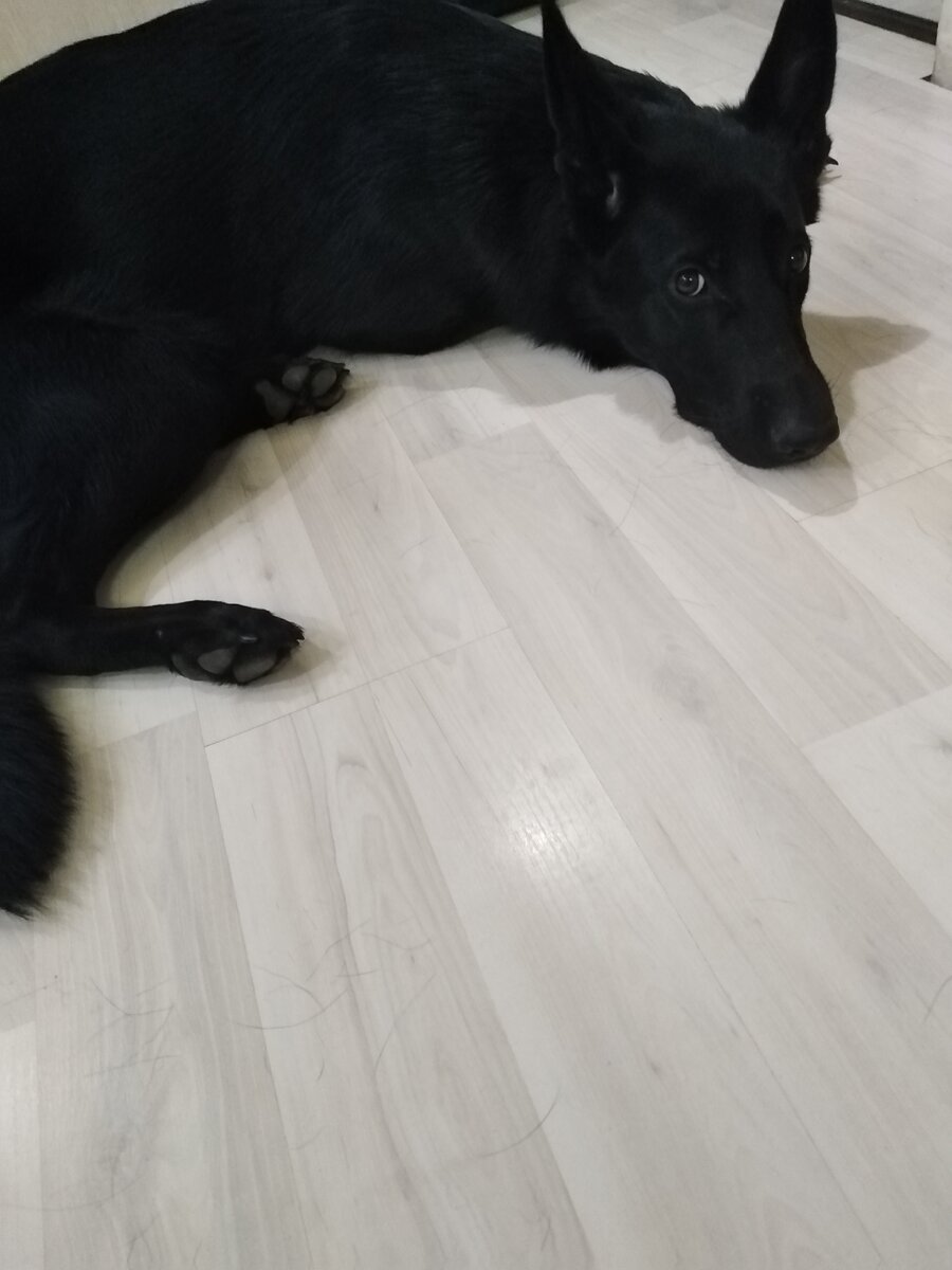 А так, мы очень даже милые