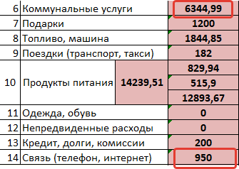 7294,99 рублей за интернет и коммуналку.