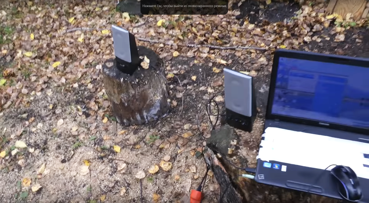 Колонки просто ласточки ! Красавицы...