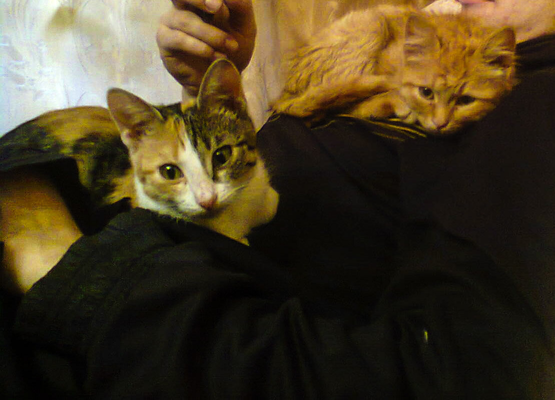 Первое фото