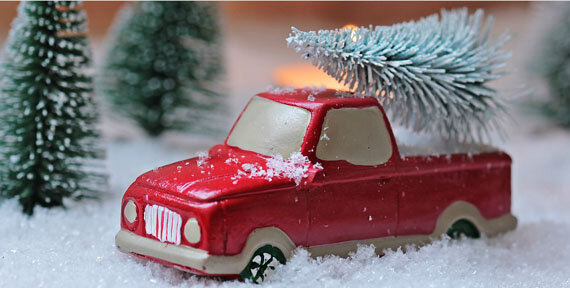 Фото с сайта pixabay.com