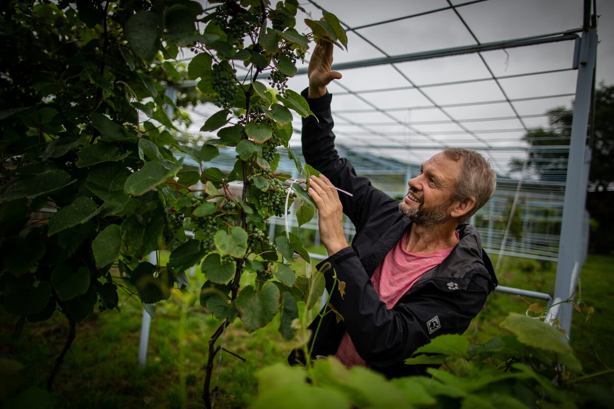 Фото: Дмитрий Беляков/для Bombus